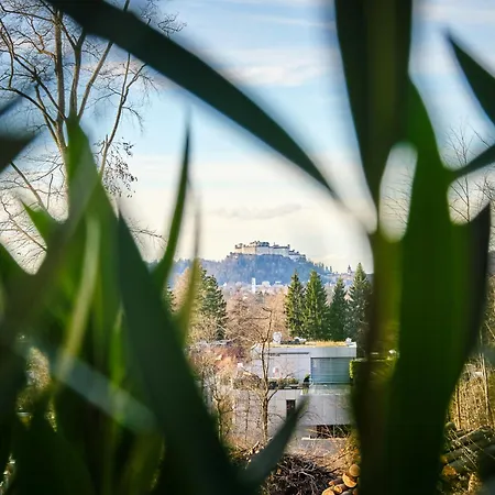 公寓 Alpenpanorama Karl Und Johanna